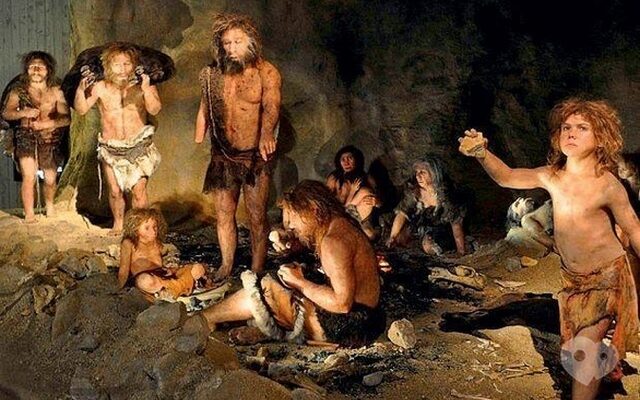 Кам’яний вік: витоки, структура та культурна еволюція людства 3 pech