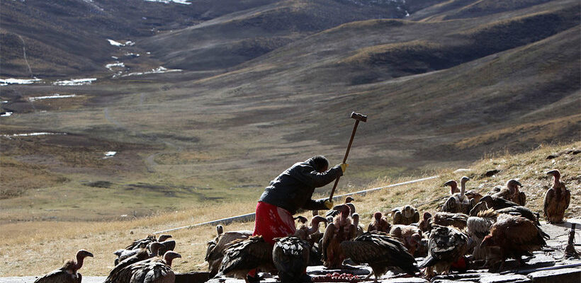 Небесне поховання в Тибеті 3 tseremo