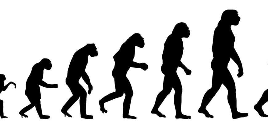 Дарвінізм і становлення теорії еволюції 3 da