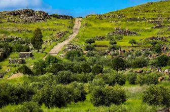 Друзи в Сирії: історія, боротьба за автономію та роль у сучасній сирійській державі 14 du