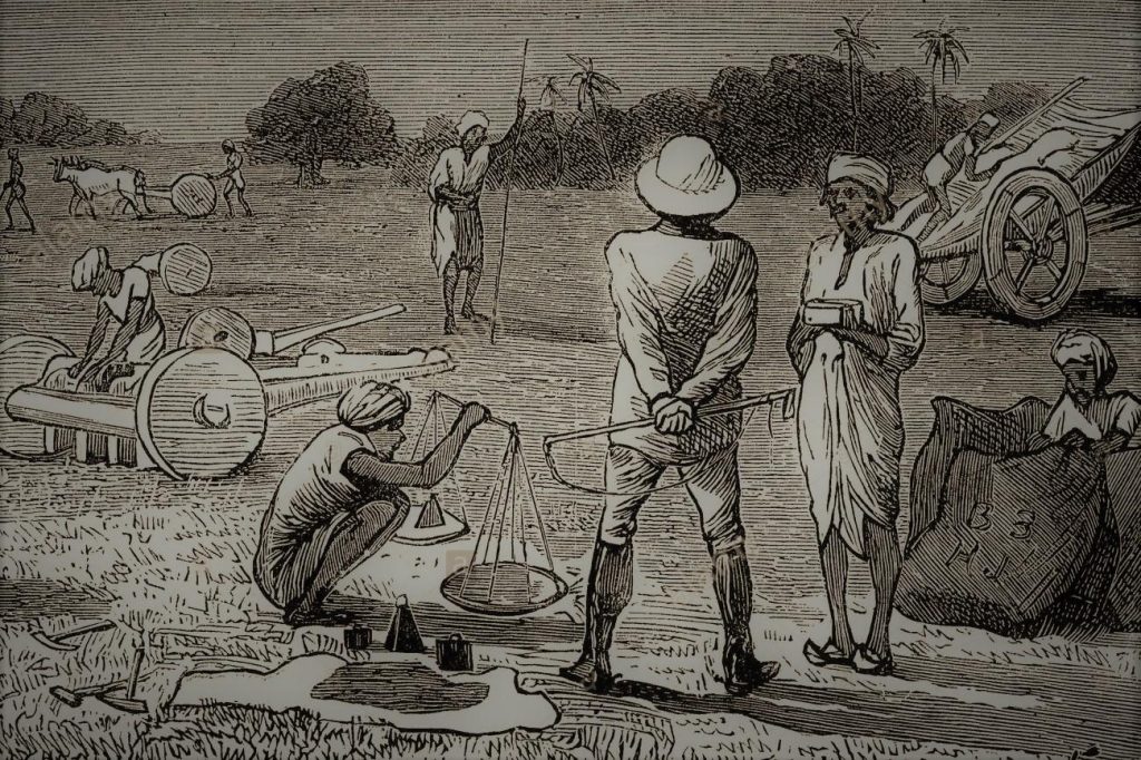 Індиго-повстання 1859–1860 років — боротьба селян Бенгалії проти британських плантаторів 3 idididi