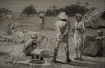 Індиго-повстання 1859–1860 років — боротьба селян Бенгалії проти британських плантаторів 15 idididi